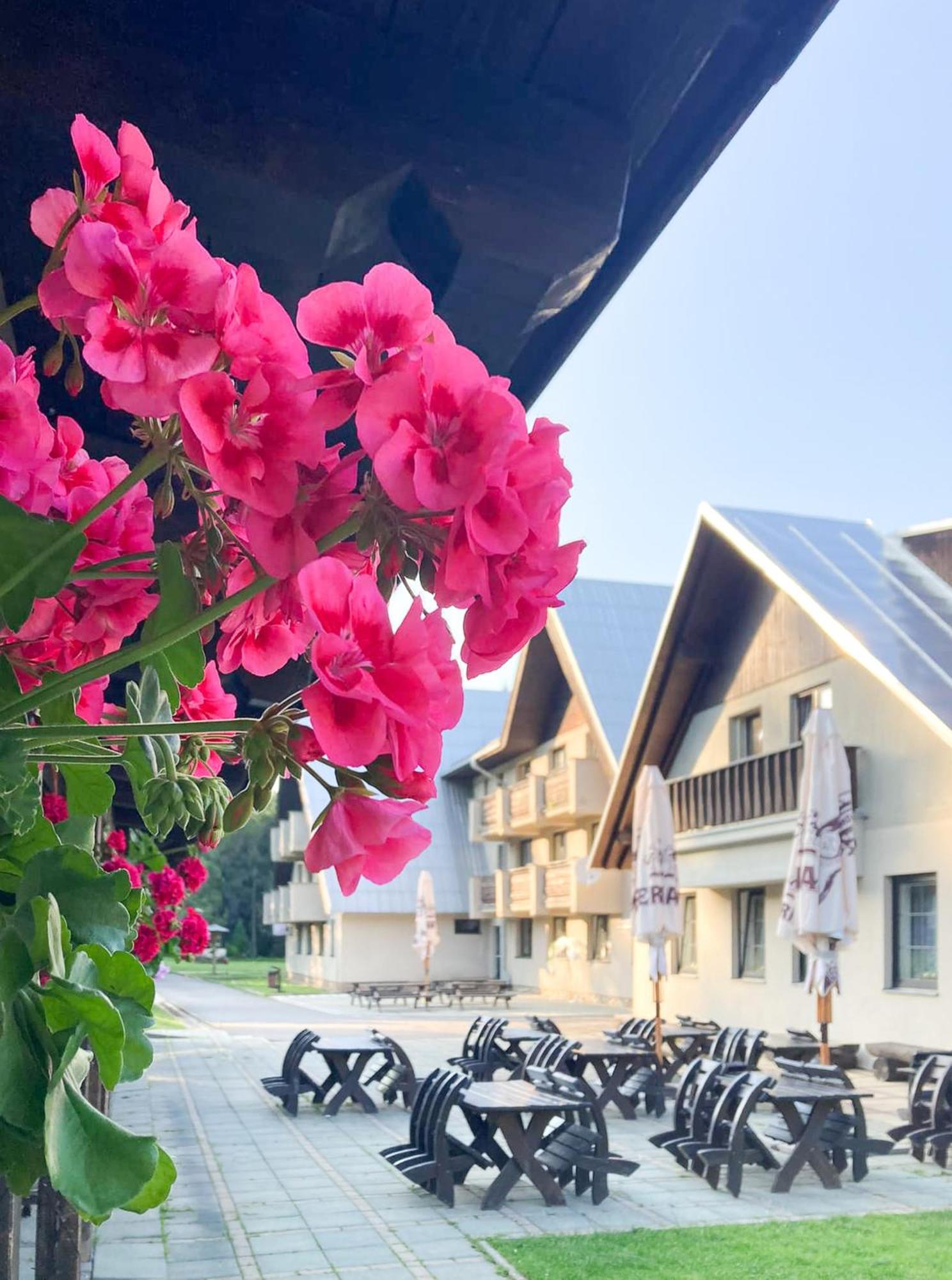 Hotel Hornik Zďár nad Sázavou Exterior foto